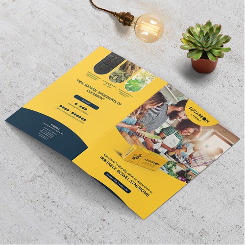 Modern Flat Bifold Brochure Concept for F. Trenka