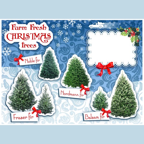 Farm Christmas trees banner