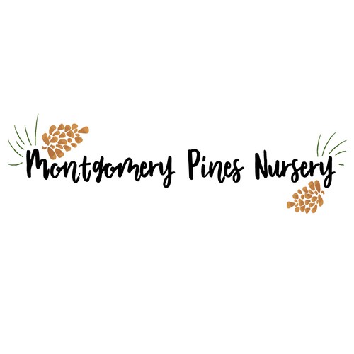 Whimsical logo for a nursery