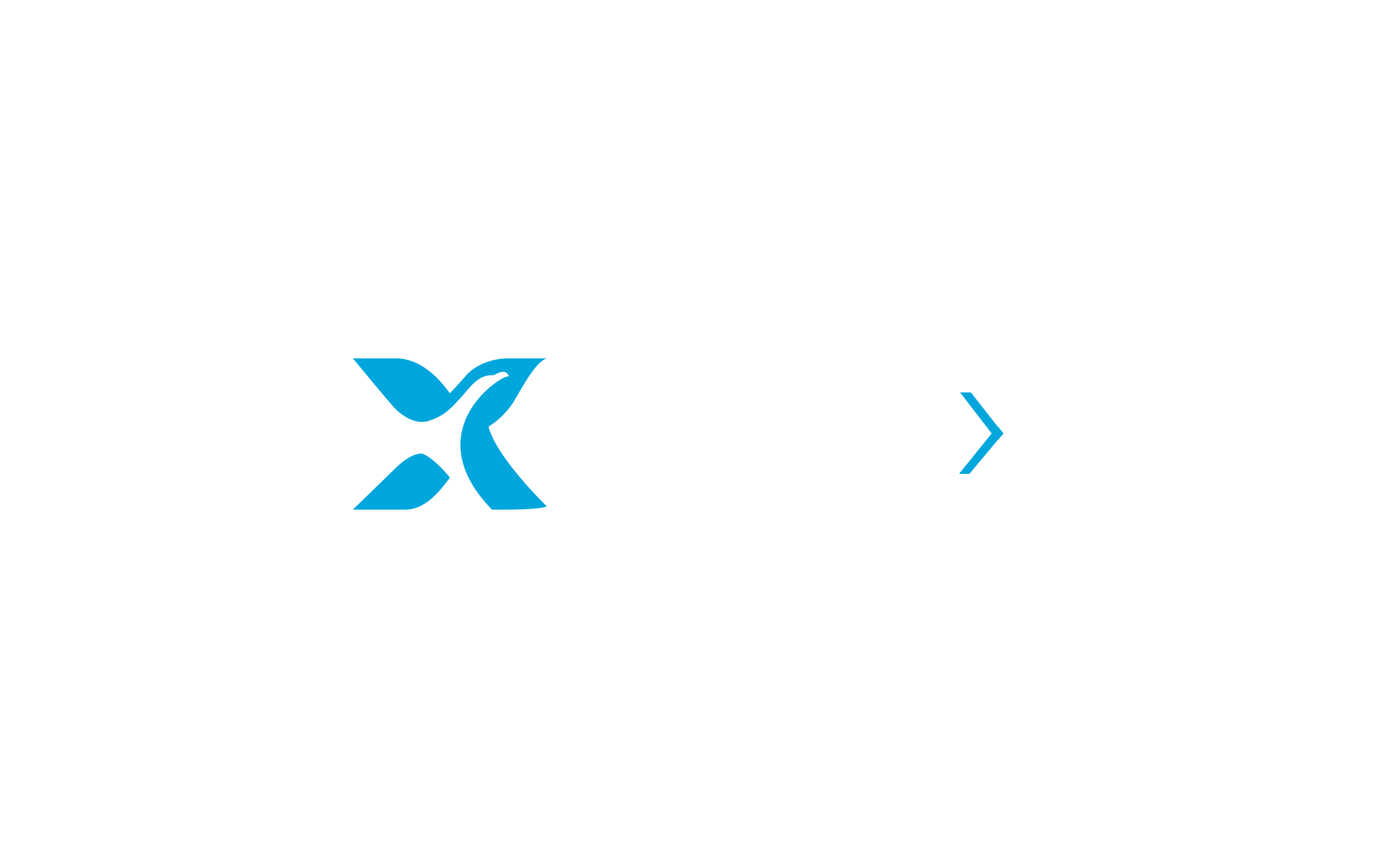 Logo iterations PowerX