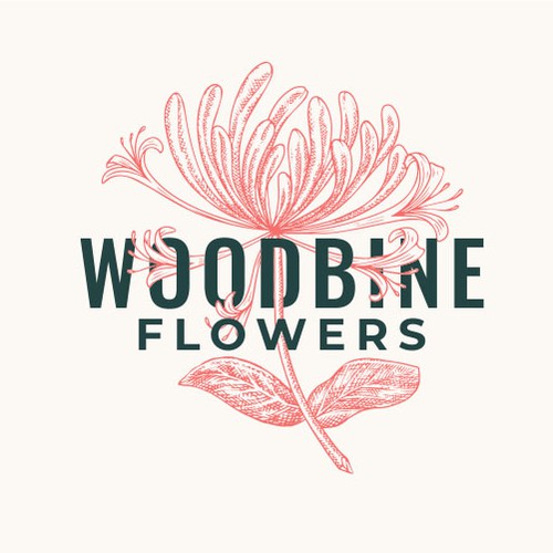 Woodbine Flowers