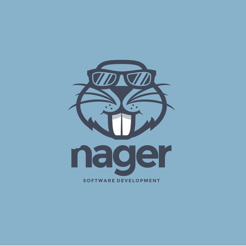 Logo design for nager software development