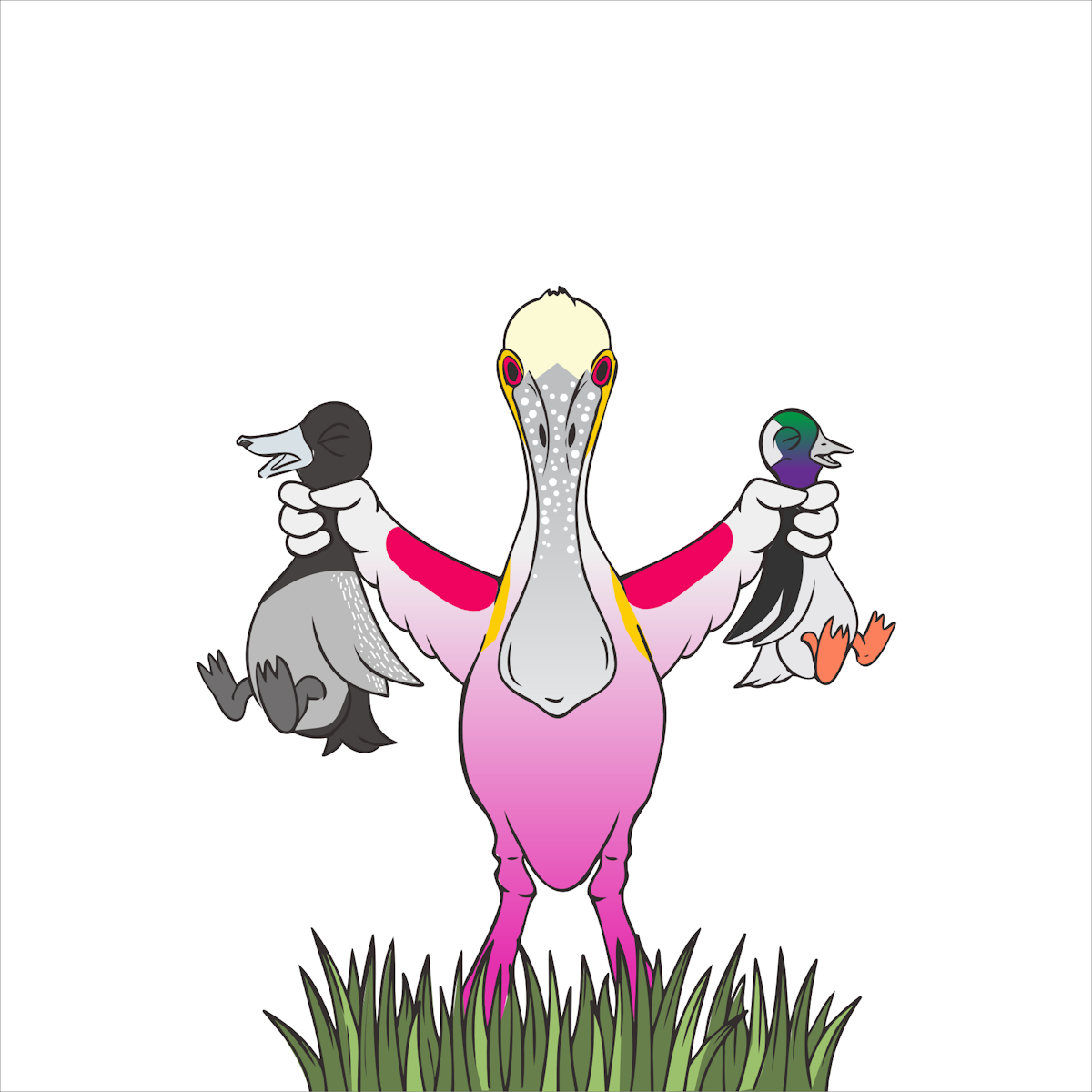 Roseate Spoonbill