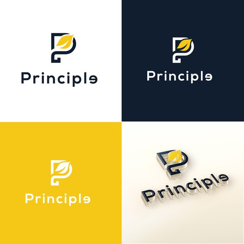 Principle