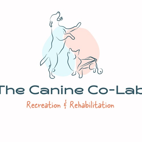 Logo for pet services company 