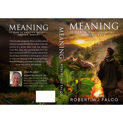Book cover for the novel MEANING