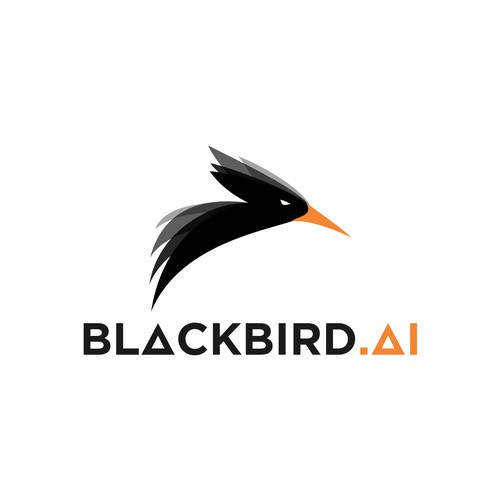 BLACKBIRD.AI