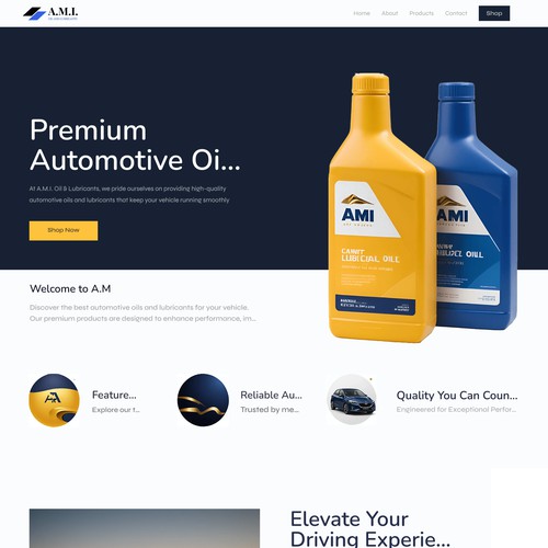 Website design for oil company 