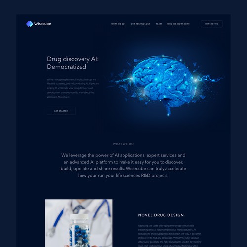 Wisecube website design