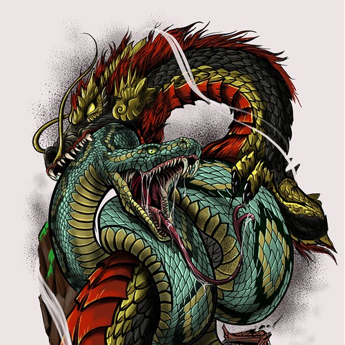 Dragon&Snake 
