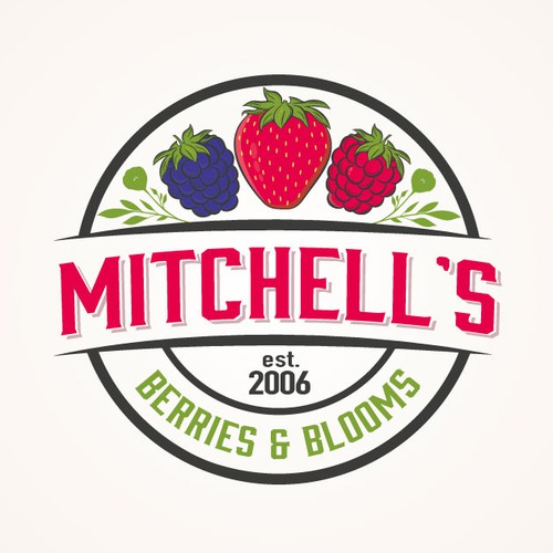 logo MITCHELL`S