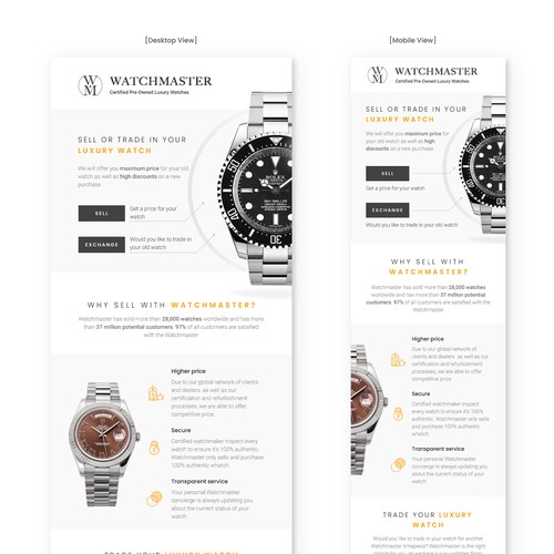 Luxury Watch Newsletter Template