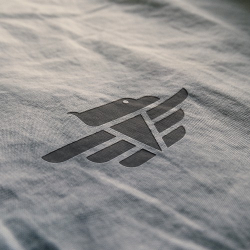 Solid logo design for a Financing company.