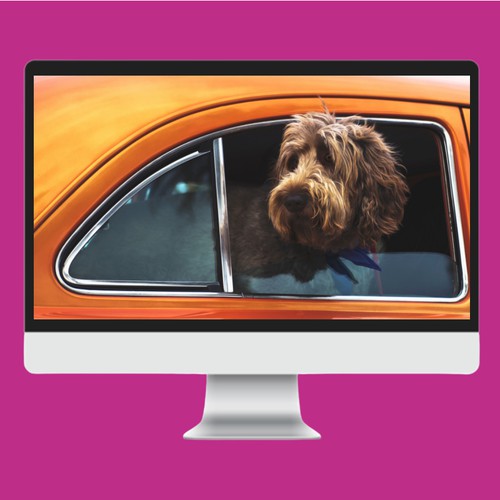 One Hour Zoom Video Training