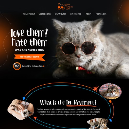 Website to Help Community Cats - Need Creative Ideas to Improve Mockup!
