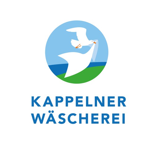Logo Konzept für ein Wäscherei
