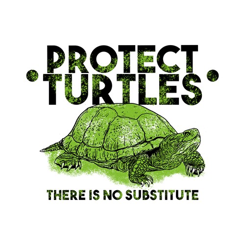 Design for thinkturtle.ca