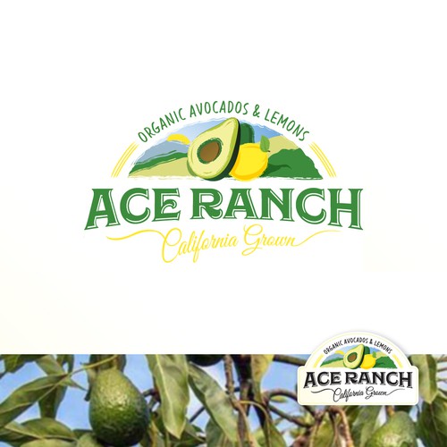 Ace Ranch