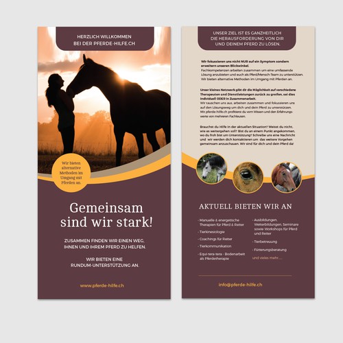 Concept for a holistic horse therapy network in Switzerland