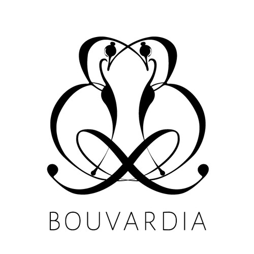 fashion boutique logo