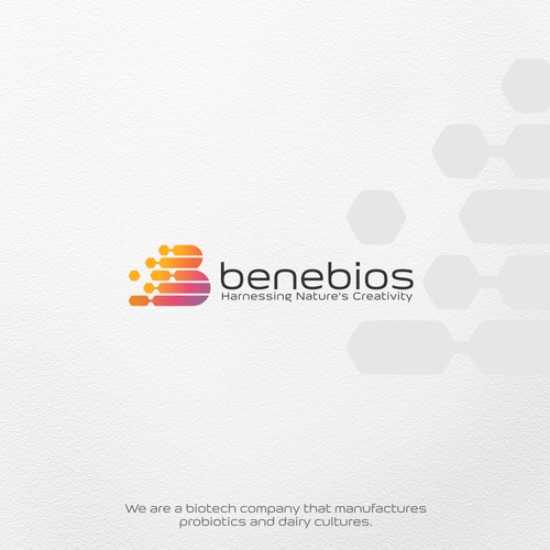 Logo and brand identity for Benebios