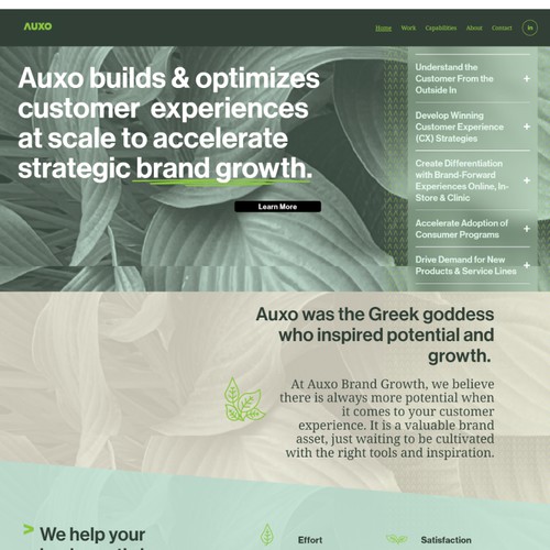 Optimisation of Modern ADU Plans