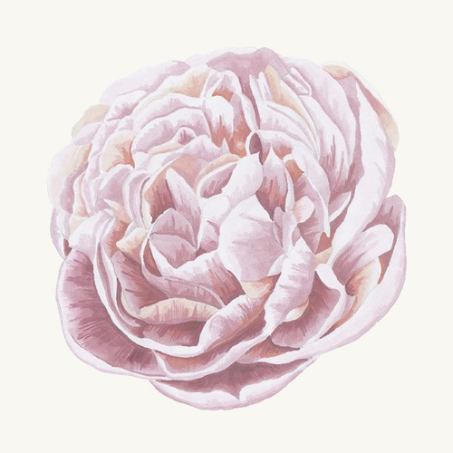 Flower Watercolor Illustration