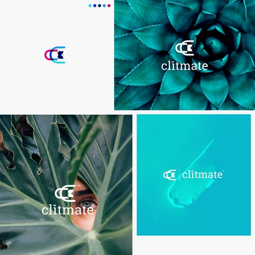 Clitmate logo design