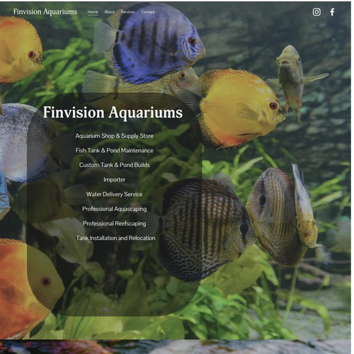 Optimisation of Finvision Aquariums