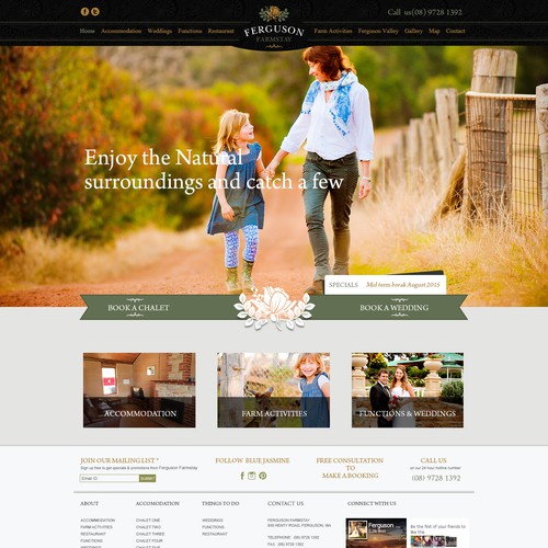 Fergusen website theme design