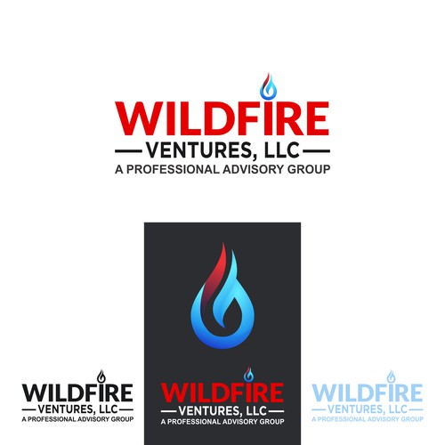 Wildefire Ventures, LLC needs Professional Package for New Advisory Group.