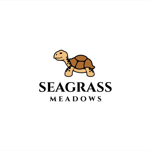 Seagrass Meadows