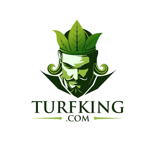 Help Turf King with a new logo