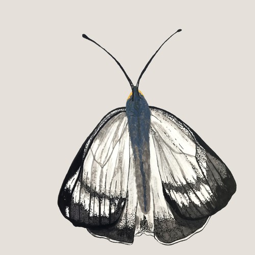 Illustration for label