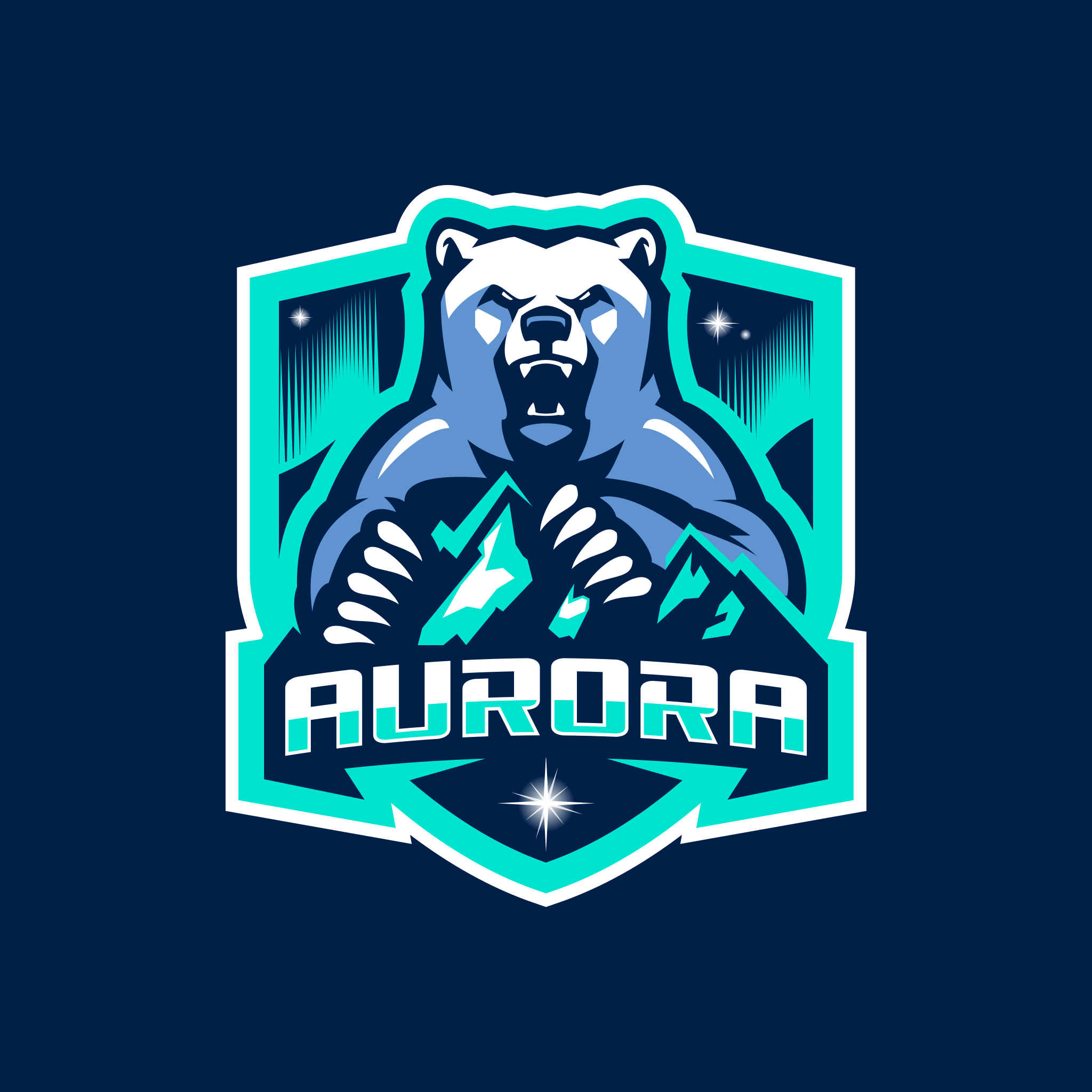 Design A Soccer/Football Badge And Logo For A New Palla Jersey