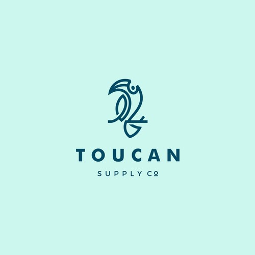 Toucan "in search for home"