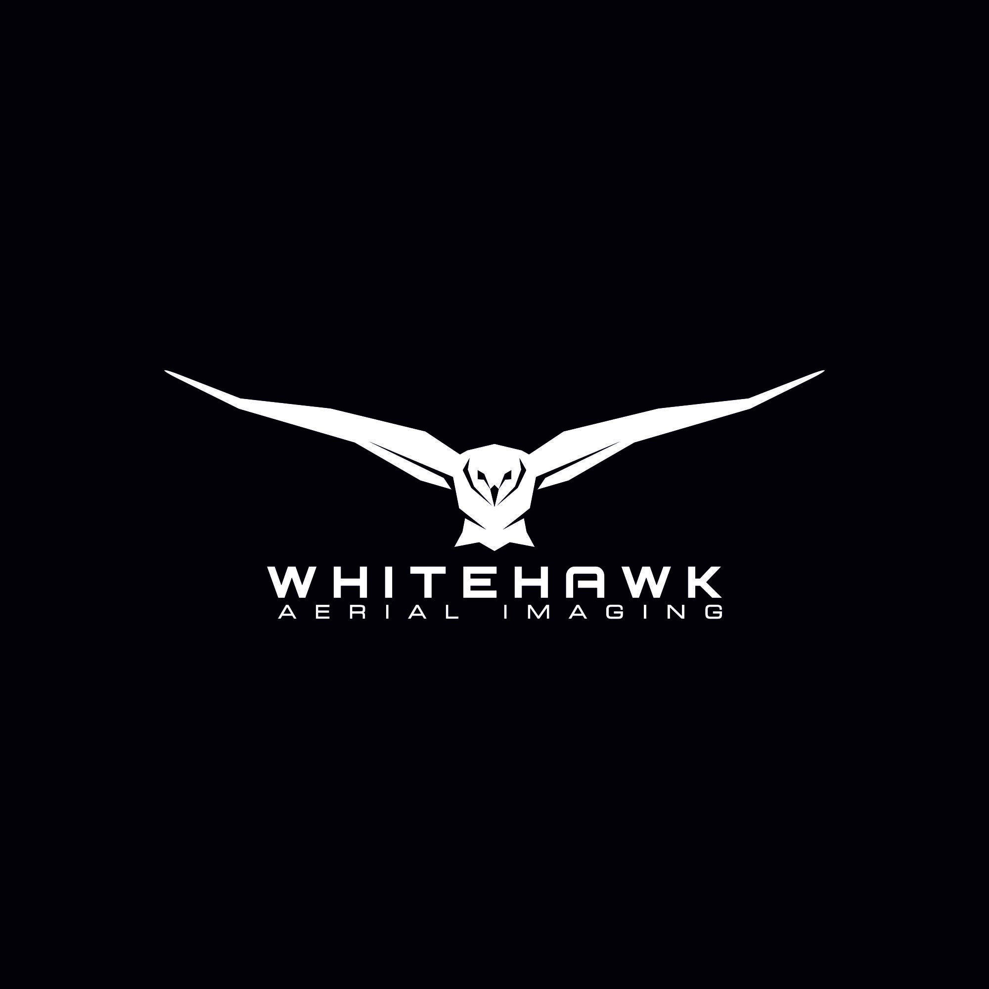 Design a simple, strong and gorgeous logo for an aerial photography business.