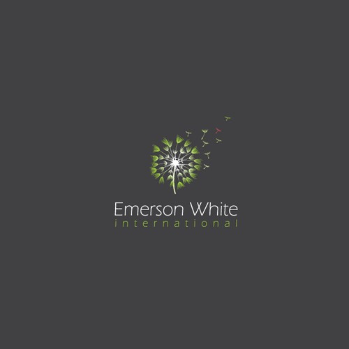 Logo for "Emerson White international"