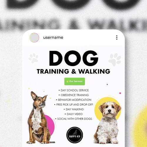 Dog School Ad