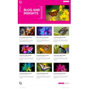 Reviewed design