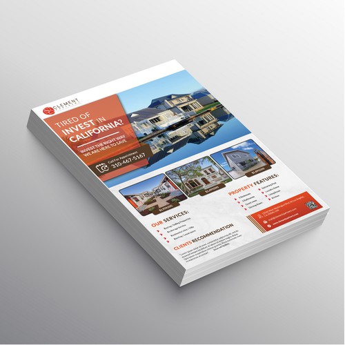 Real Estate Agent/Investment Flyer