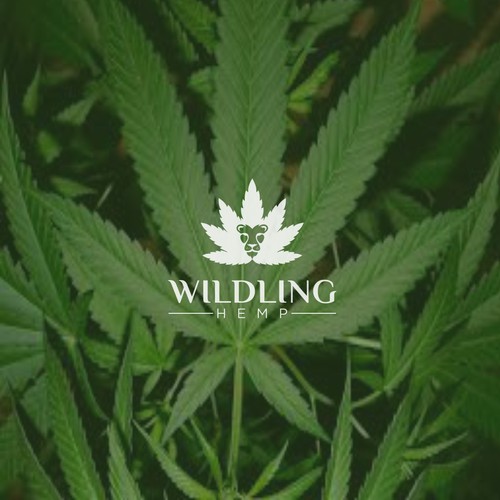 WILDLING HEMP