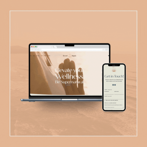 Website Design for Hi-End Hippie