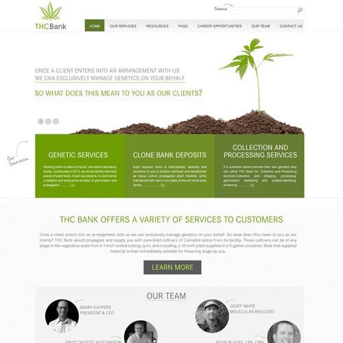 Website for a Medical Marijuana Scientific Company