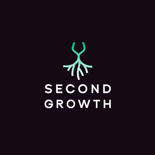 Second Growth - Wine roots concept