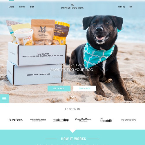 Web Design Concept for The Dapper Dog Box