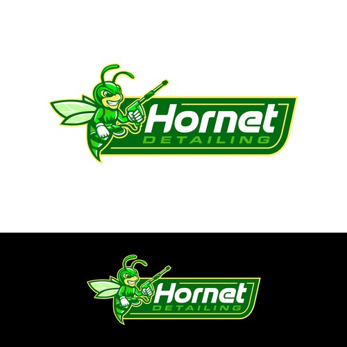 Winner of "Hornet Detailing" Contest