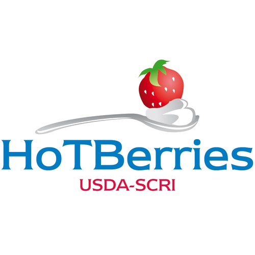logo HotBerries
