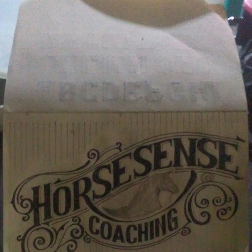 Sketching logo concept Horsesense.