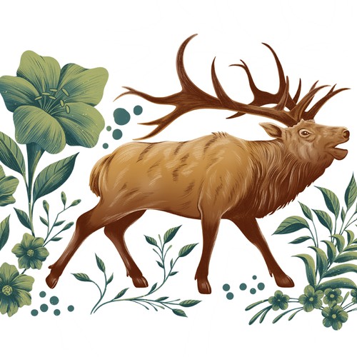 Illustration